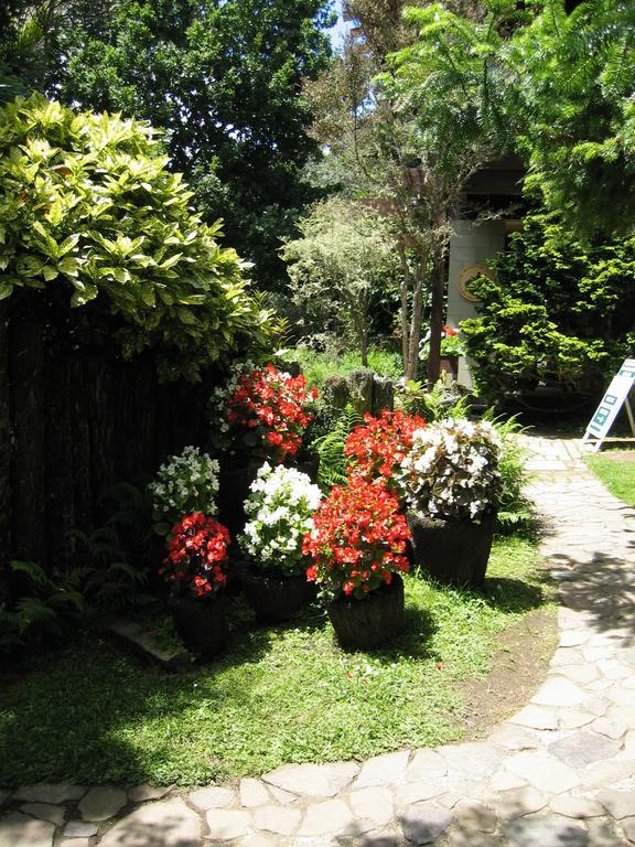 Rapaura Watergardens Bed & Breakfast Tapu Exterior photo
