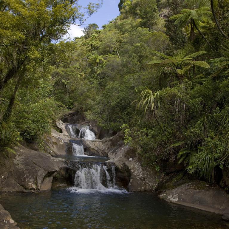 Rapaura Watergardens Bed & Breakfast Tapu Exterior photo